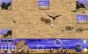 http://www.pridelands.ru/games/p/lion-hunt_6_s.jpg