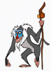 rafiki