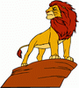 simba02