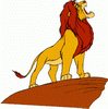 simba03