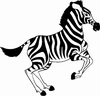 zebra